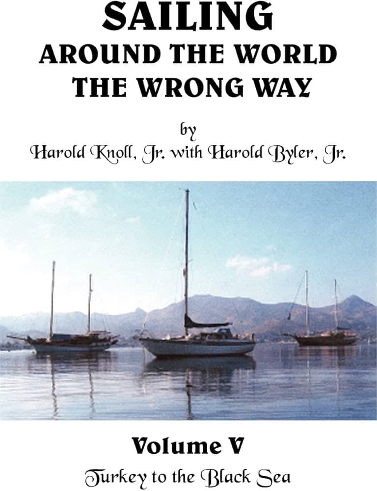 Why I'm Chasing the Faucet: My iMBA Journey